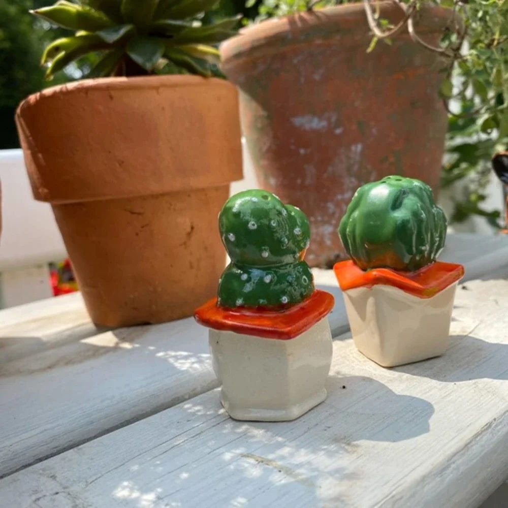 Vintage Cactus Salt & Pepper Shakers